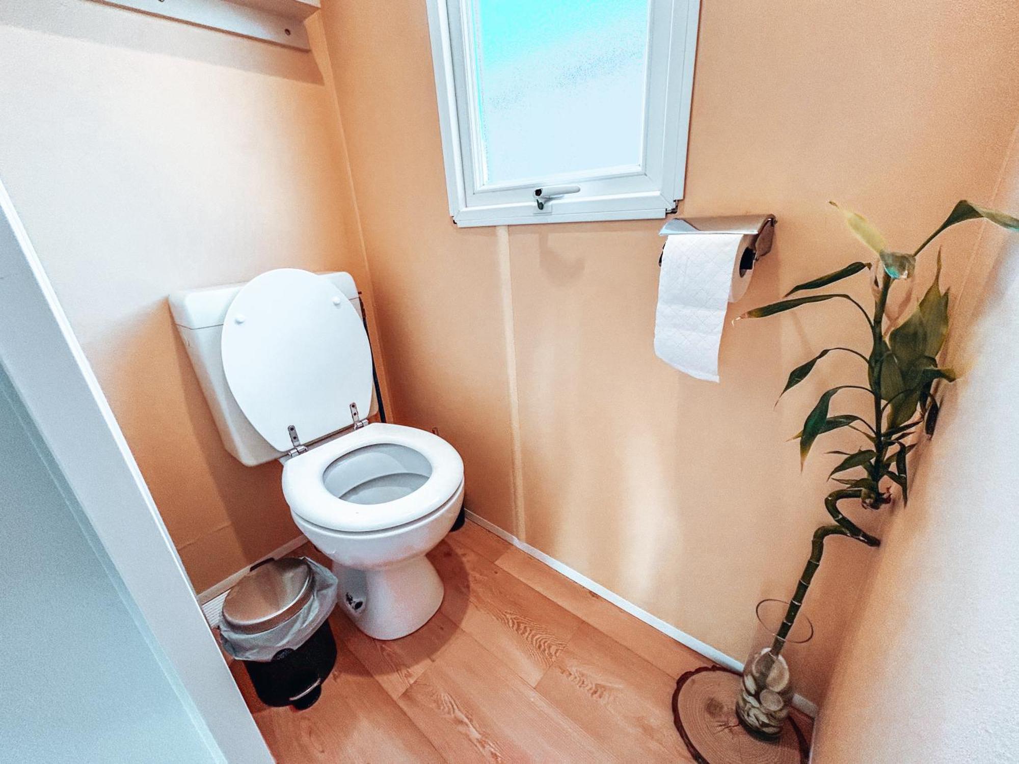 Palmaradise Holiday home El Palmar (Andalucia)